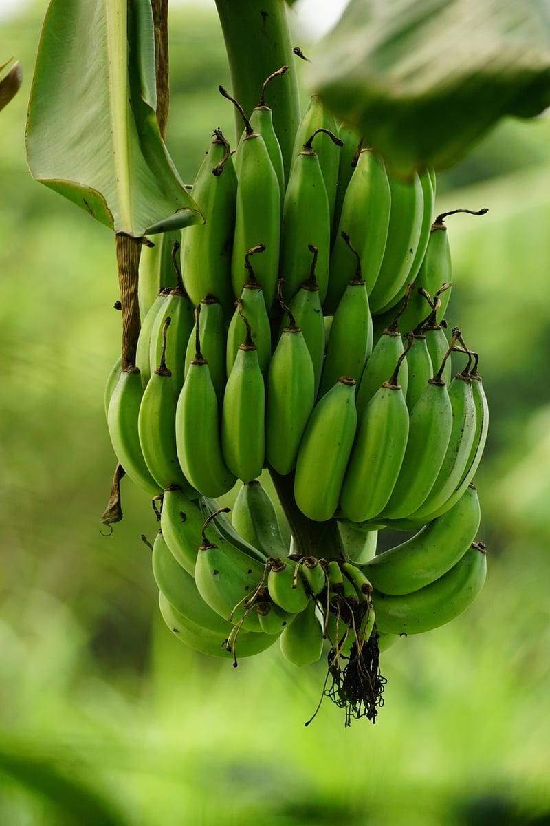 Bananas Foster